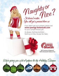 synergy-botanicals-hq-1-pg-holiday-ad-10_0